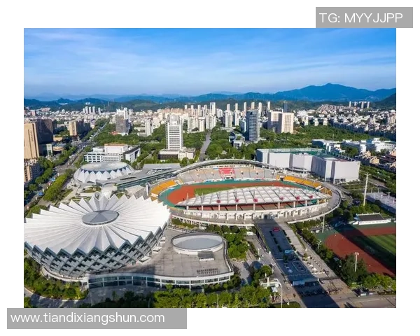 亚运会特别报道：杭州排球队如何在挑战中实现历史性突破与辉煌成就